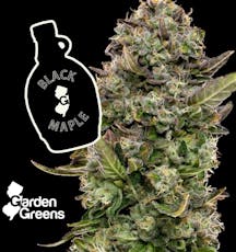 Garden Greens | Black Maple | 3.5g