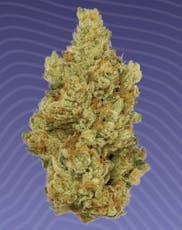 Kind Tree | Peanut Butter Pie | 3.5g