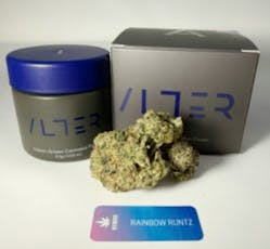 Alter | Flower - Rainbow Runtz | 3.5g