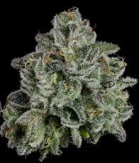 Coastal Healing Lemon Zephyr - Bulk
