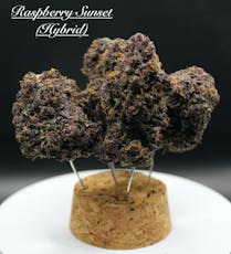 Coastal Healing Raspberry Sunset - Bulk