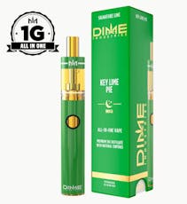 Key Lime Pie -1g All In One Disposable (Dime)