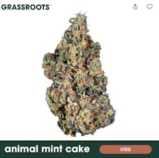 Grassroots | Flower | Dark Heart Collection | Animal Mint Cake | 3.5G