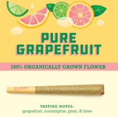 Paper Crane Whitethorn Rose x RS11 1g Preroll