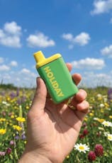 Holiday | Vape Pens | AIO | Day Trip | 1G