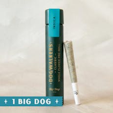 Dogwalkers | Pre-roll | Infused Pre-Rolls | Brownie Scout | 0.75g