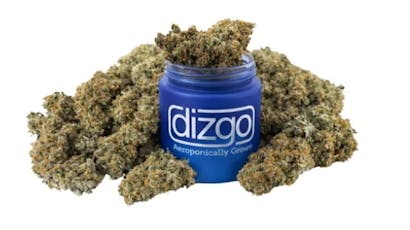 Orion | Prepacked | 3.5g | Dizgo |