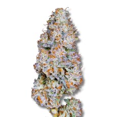 Strawberry Gary | 3.5g