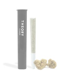 Theoryx Sherbet BX1 1g Preroll