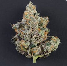 Truffle Cake | 3.5g