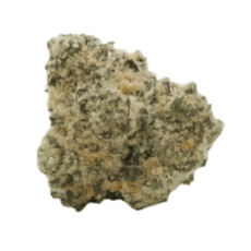 UB Beach Grapes | 3.5g