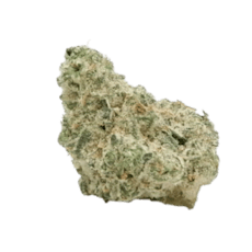 UB Gucci Fruit | 3.5g