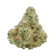UB Orangade | 3.5g