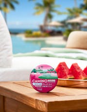 Kiva Camino Sours 10pk Watermelon Spritz