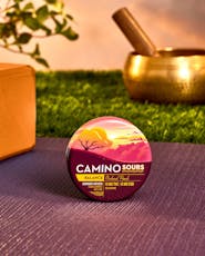 Kiva Camino Sours 10pk Gummies Orchard Peach CBD 1:1