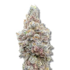 Dry Ice | Cold Cured | 3.5g