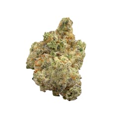 Cunning Linguist, Indoor