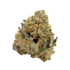 Garlic Louie, Indoor