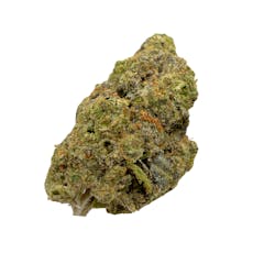 Vanilla Cream Pie, Indoor