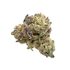 Gastronaut, B-buds, Indoor