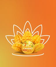 Kiva Camino 20pk Mango Serenity CBD 1:1