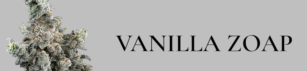 Vanilla Zoap | 3.5g