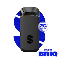 Select Essentials Briq Disposable 2g Lychee Dream