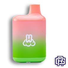 Water 'Yer Melon Flavored "Cloud Bar" All-in-One Vape | 1g (Distillate)