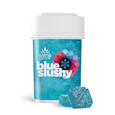 Blue Slushy Gummies 10PK | 100mg