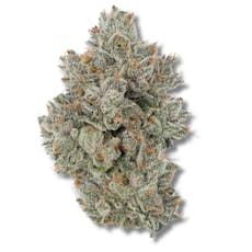 Watermelon Fuel | 3.5g