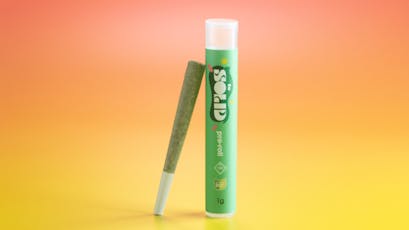 STANDARD WELLNESS - MIND MELTER 0.5 GRAM PRE-ROLL