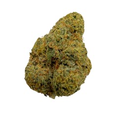 Lime-Aid, Indoor