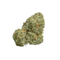 Cap Junky, B-buds, Indoor