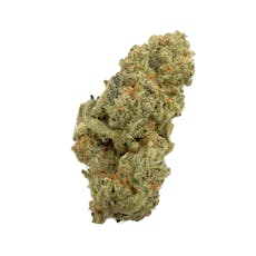Sugar Stix, Indoor