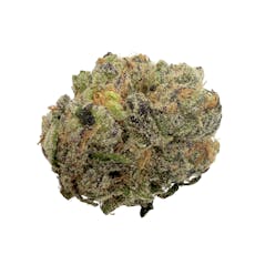 Grape Gasoline, Indoor