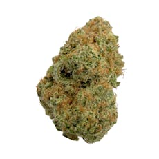 Blueberry Muffin, Indoor