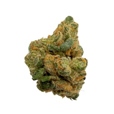 Stay Puft, B-buds, Indoor