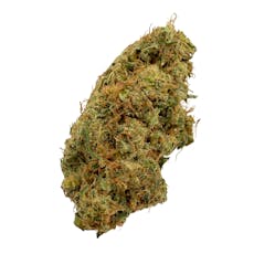 Dutch Treat, Indoor