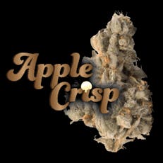 Apple Crisp | 3.5g