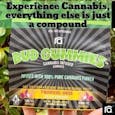 Bud Gummies - Tropical (Sativa Dominant) 100mg package - RA' Flower Brands