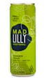 Ginger Pear 1:1 (CBD) Cannabis Infused Spritzer - Mad Lilly