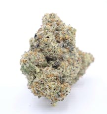 Pacific Frost White Truffle