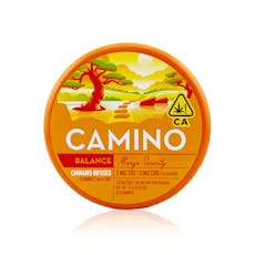 Kiva Camino Gummies Mango Serenity CBD 1:1