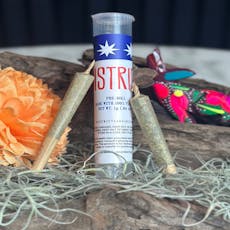 Gelato Cake Prerolls 1g 2pk