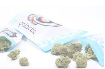 Galactic Old Dirty Biker 7g