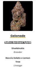 Gelonade | 3.5g