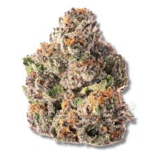 Guava Biscotti | 3.5