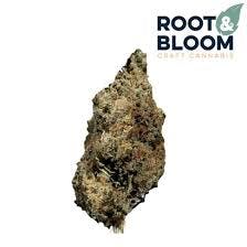 Honey Banana | 3.5g