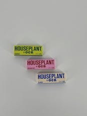 OCB | Houseplant 1.25" + tips | Classic