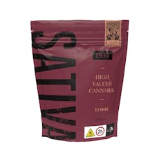 1937 | Princess Haze| 3.5G Flower